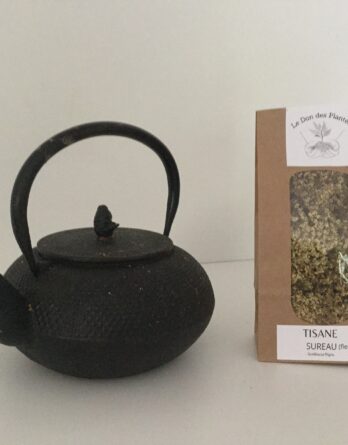 Tisane de sureau (fleurs)