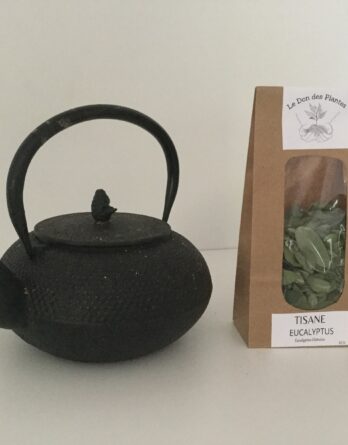 Tisane d'eucalyptus